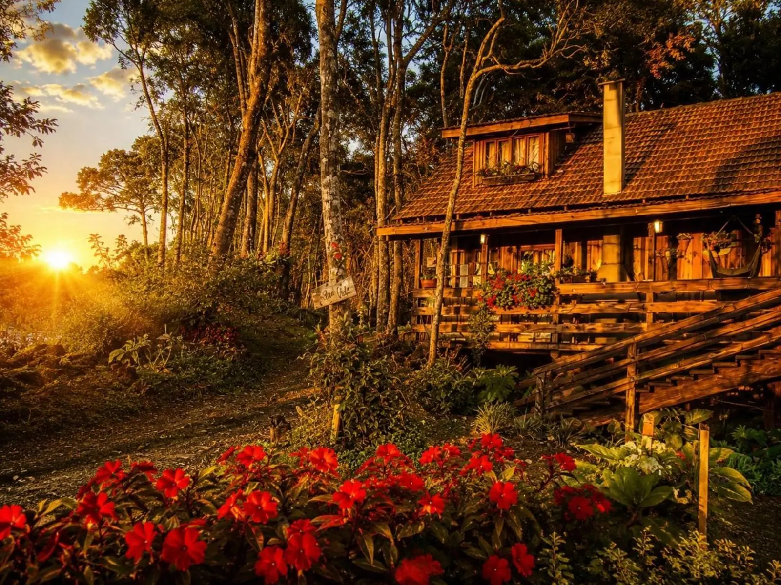 Aurora ao pôr do sol, entre as árvores e as flores