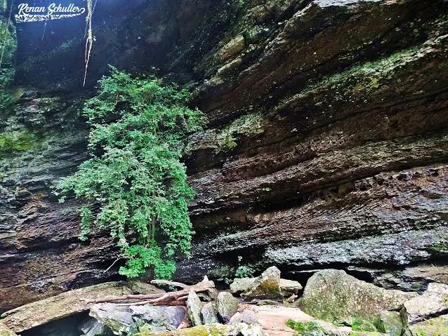 Paredões de pedra cobertos de musgo e plantas no Cânion Arroio Leão