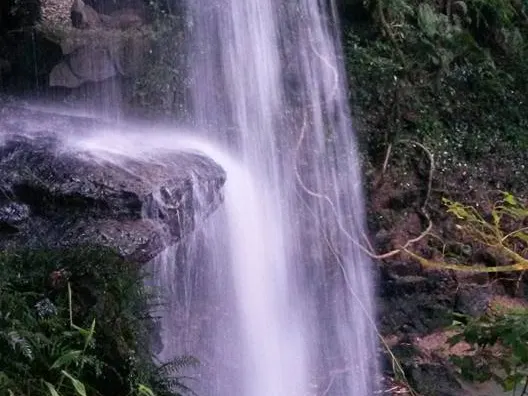 Queda d'água alta e fina descendo pela mata na Gruta do Riozinho
