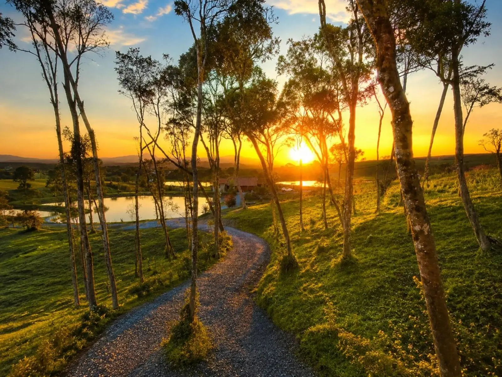 Caminho entre as árvores ao pôr do sol, com o lago lá embaixo